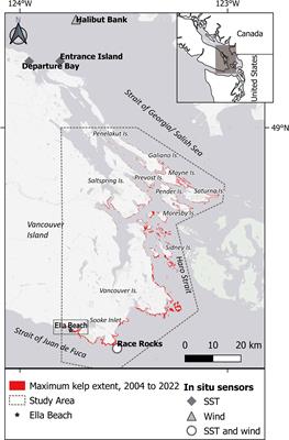 Kelp dynamics and environmental drivers in the southern Salish Sea, British Columbia, Canada